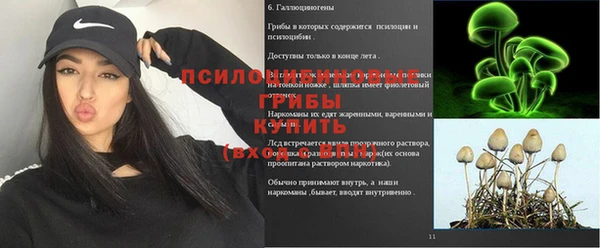 дурь Армянск