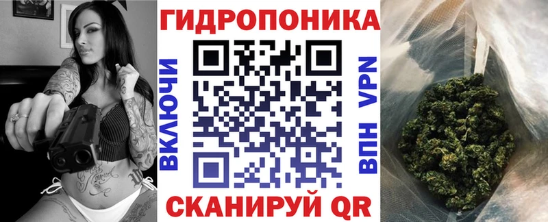 shop как зайти  Чкаловск  Шишки марихуана планчик 